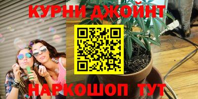 PSILOCYBIN Гусь-Хрустальный